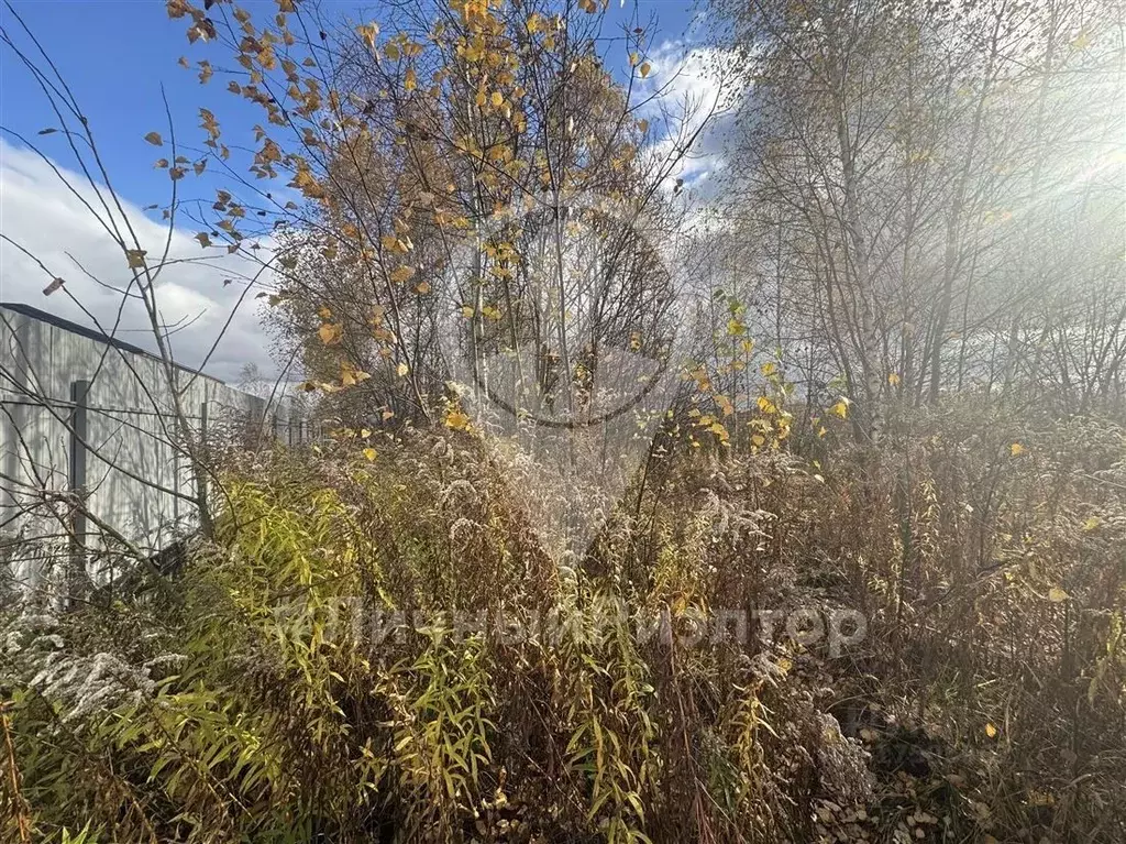 Участок в Рязанская область, Рязанский район, Льговское с/пос, д. ... - Фото 2