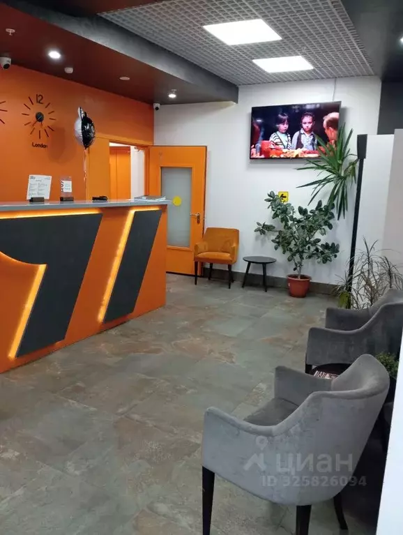 Студия Санкт-Петербург Детский пер., 2 (29.5 м) - Фото 2