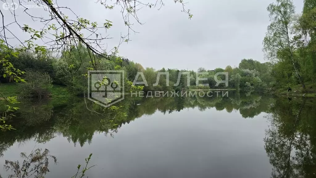 Участок в Одинцовский городской округ, деревня Подушкино (34 м) - Фото 2