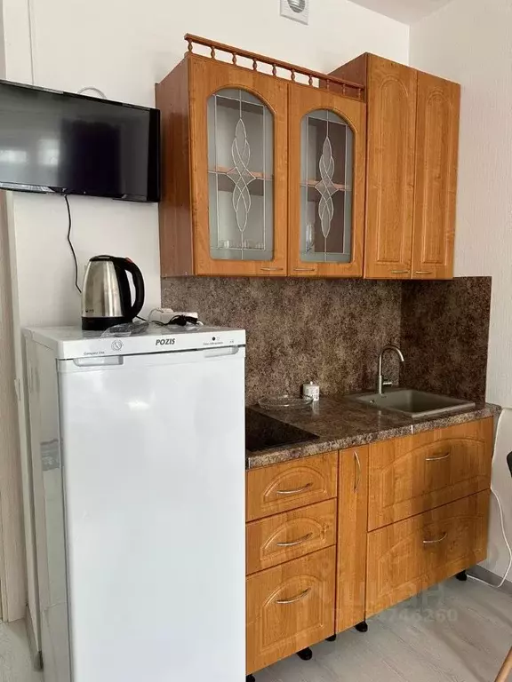 Студия Санкт-Петербург ул. Ивана Куликова, 12 (24.2 м) - Фото 2