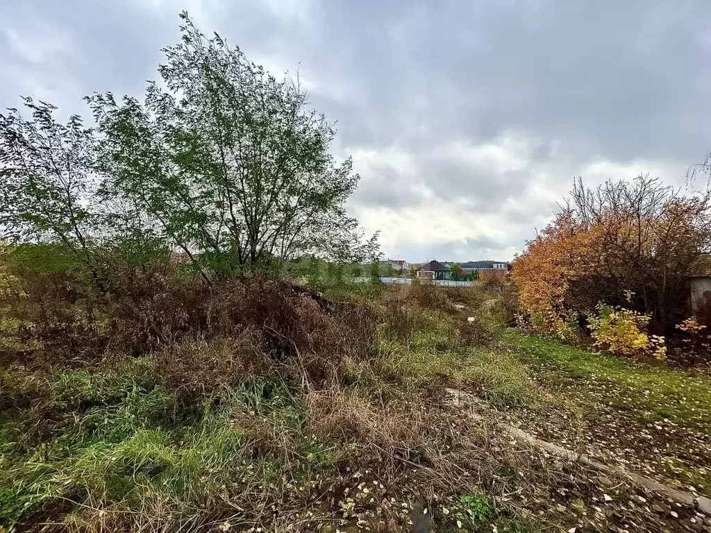 Участок в Белгородская область, Белгородский район, Дубовское с/пос, ... - Фото 2