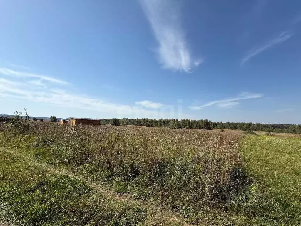 Участок в Костромская область, Красносельский район, Шолоховское ... - Фото 1