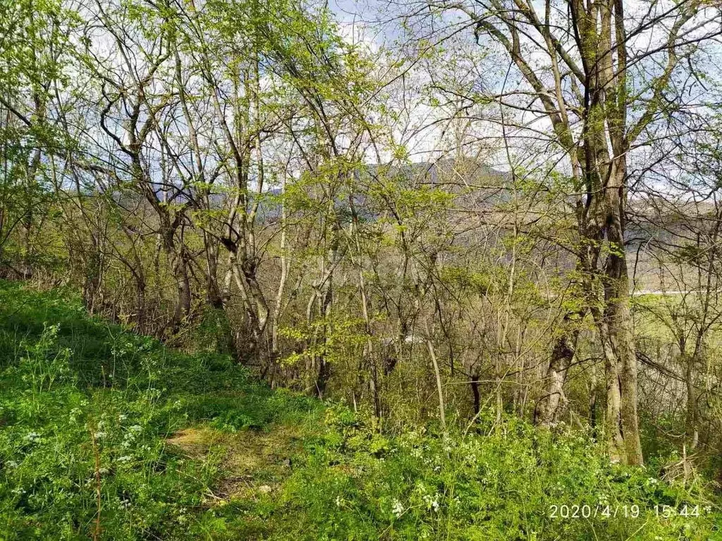 Участок в Крым, Алушта городской округ, с. Нижняя Кутузовка ул. ... - Фото 1