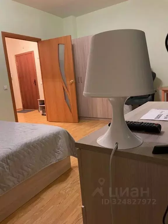 1-к кв. Псковская область, Псковский район, Завеличенская волость, д. ... - Фото 2