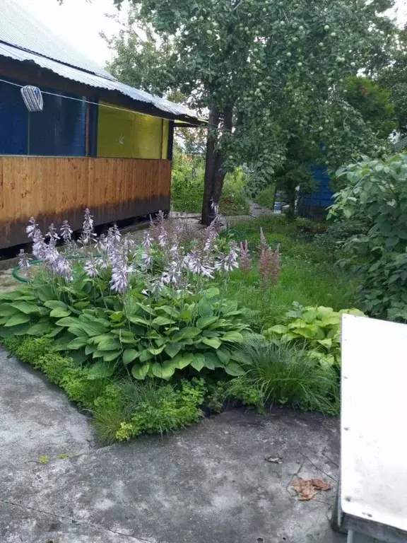 Дом в Самарская область, Самара Мичуринец СНТ, ул. 6-я, 8 (50 м) - Фото 2