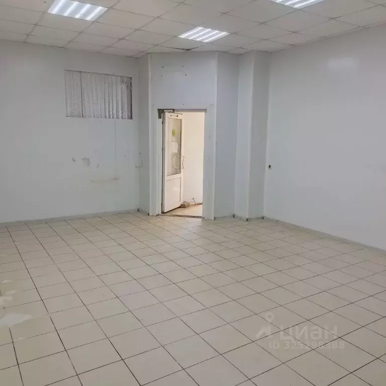 Помещение свободного назначения в Воронежская область, Семилукский ... - Фото 2