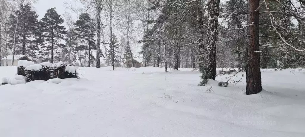 Участок в Томская область, Томский район, д. Кандинка ул. Гагарина ... - Фото 2