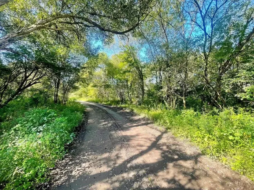 Участок в Приморский край, Артемовский городской округ, с. Кролевцы ... - Фото 1