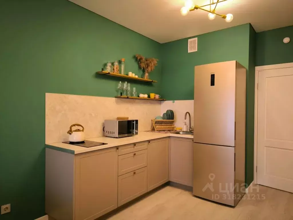 Студия Санкт-Петербург Дальневосточный просп., 19к1 (25.0 м) - Фото 1