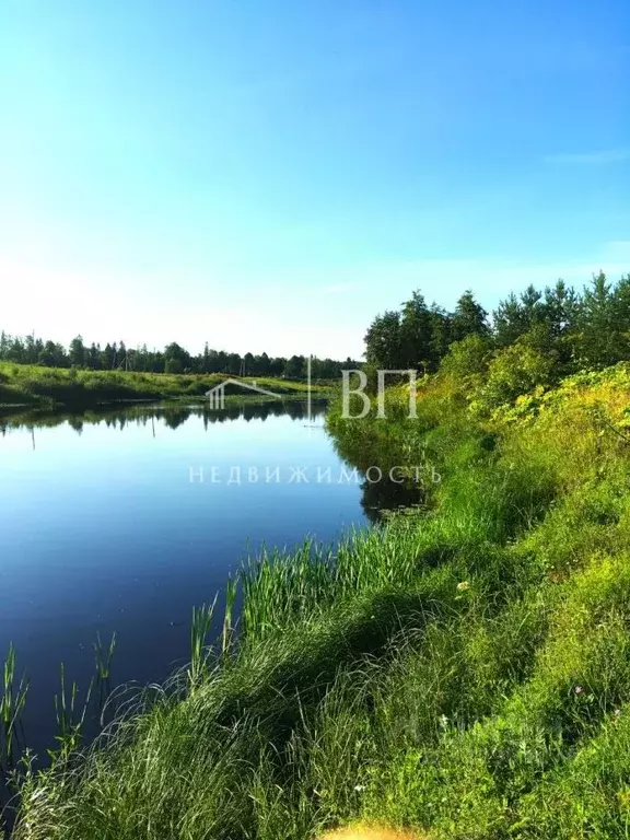 Участок в Ленинградская область, Тосненское городское поселение, д. ... - Фото 1