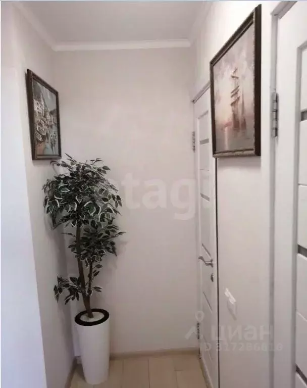 2-к кв. Краснодарский край, Геленджик ул. Леселидзе, 8 (49.9 м) - Фото 1