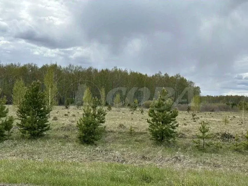 Участок в Тюменская область, Тюменский район, д. Речкина  (20.0 сот.) - Фото 0