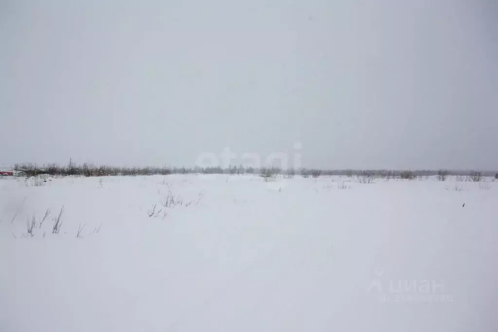 Участок в Ямало-Ненецкий АО, Новый Уренгой  (6.0 сот.) - Фото 0