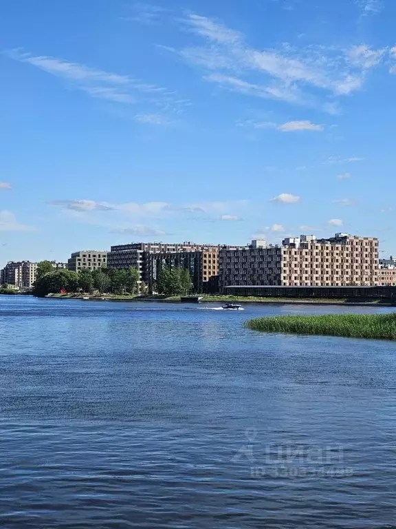 2-к кв. Санкт-Петербург Петровский просп., 9к2 (76.0 м) - Фото 2
