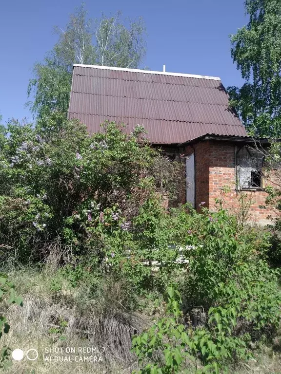 Участок в Омская область, Омск СОСН Омь-2 тер.,  (10.0 сот.) - Фото 1