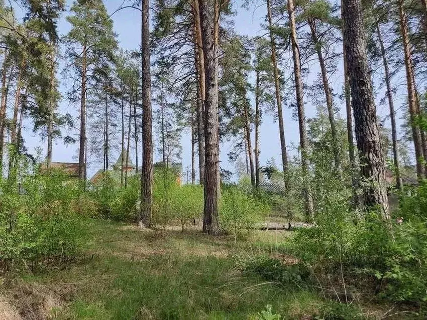 Участок в Самарская область, Тольятти Лесопарковое ш. (27.0 сот.) - Фото 1