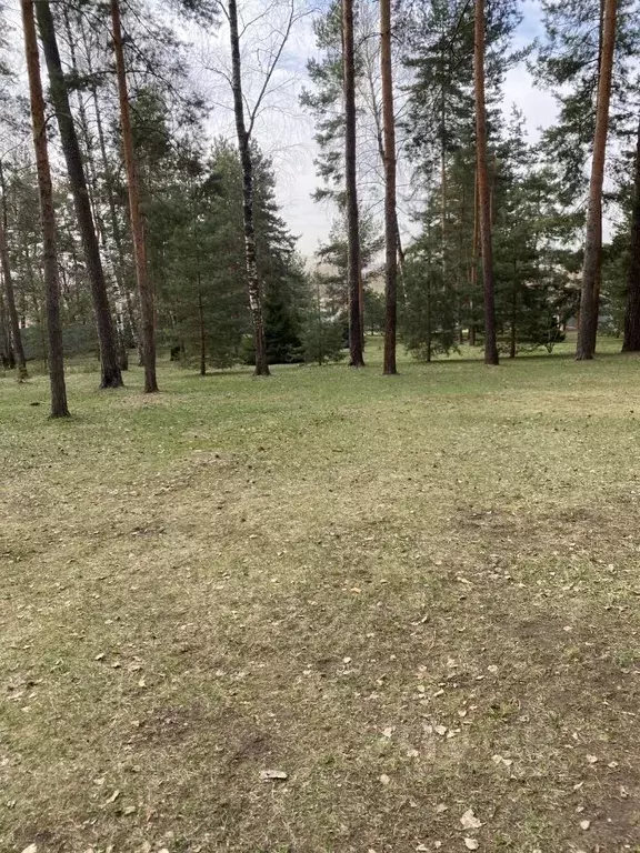 Участок в Московская область, Люберцы городской округ, Малаховка пгт, ... - Фото 0