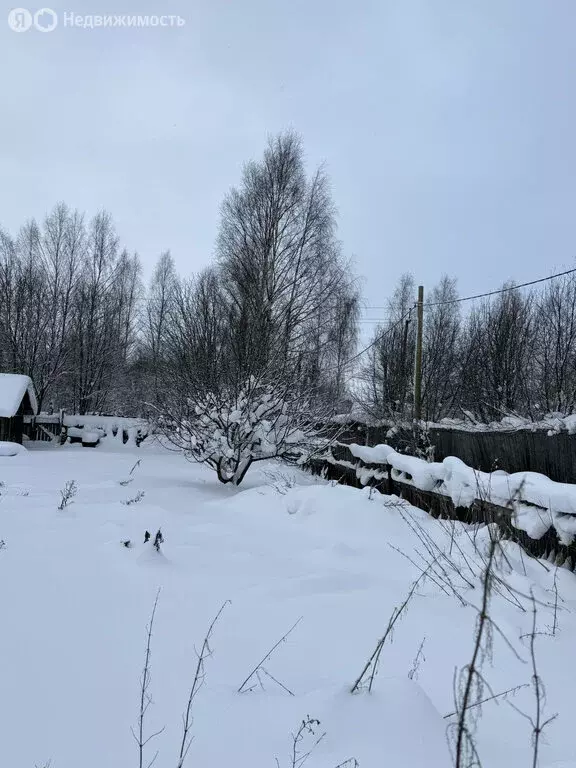 Участок в Пасеговское сельское поселение, СДТ Исуповское (13 м) - Фото 2