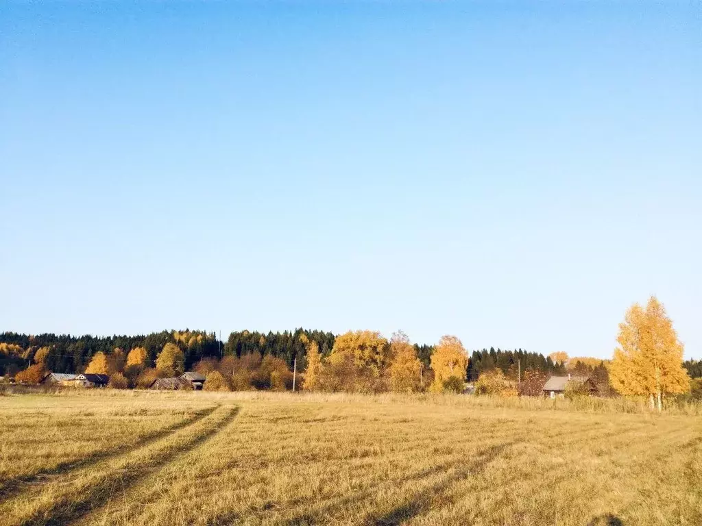 Участок в Пермский край, Ильинский городской округ, д. Коршуны  (22.0 ... - Фото 1