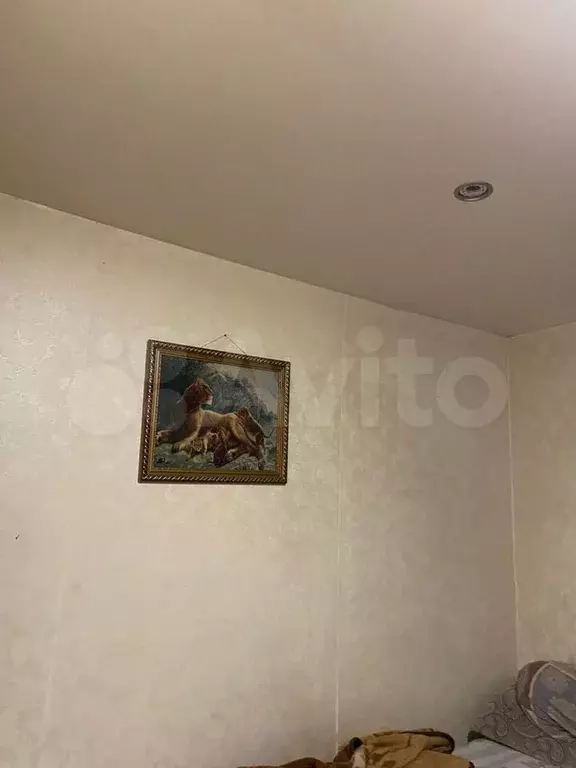 Купить Однокомнатную Квартиру В Шахтах