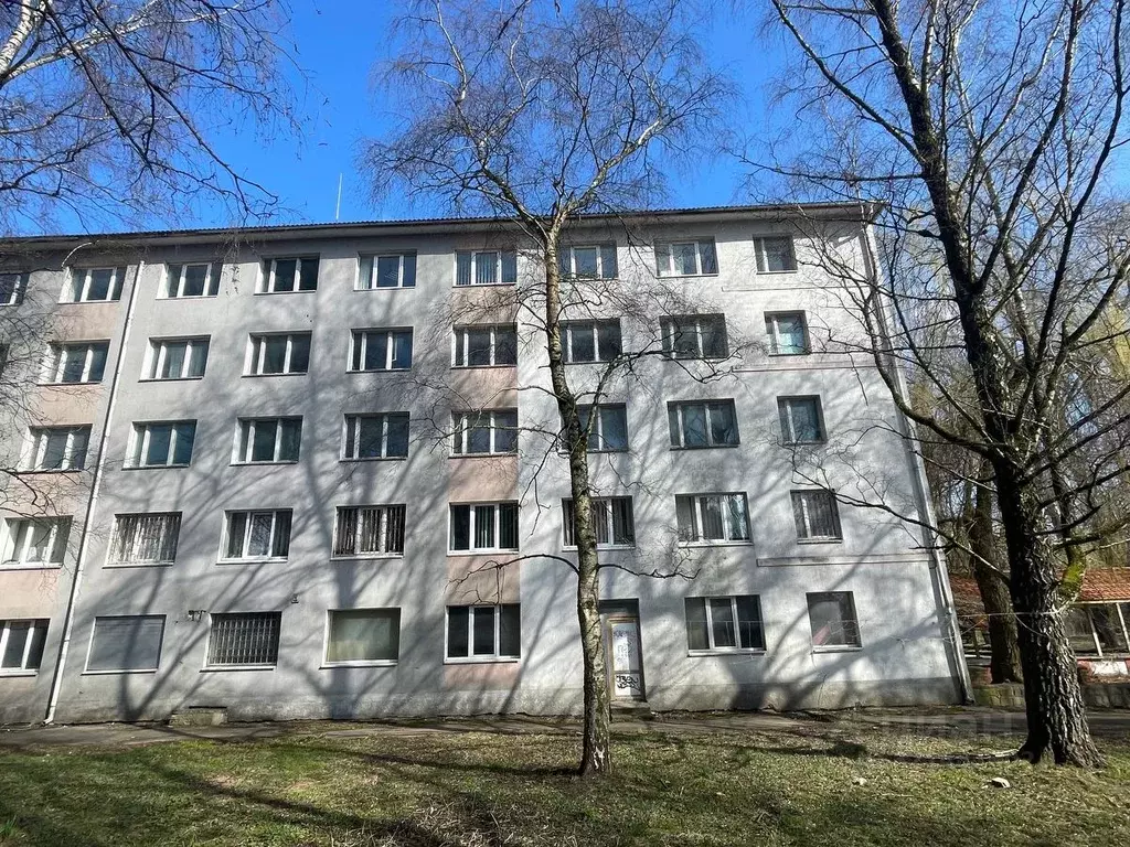 Помещение свободного назначения в Калининградская область, Советск ул. ... - Фото 1
