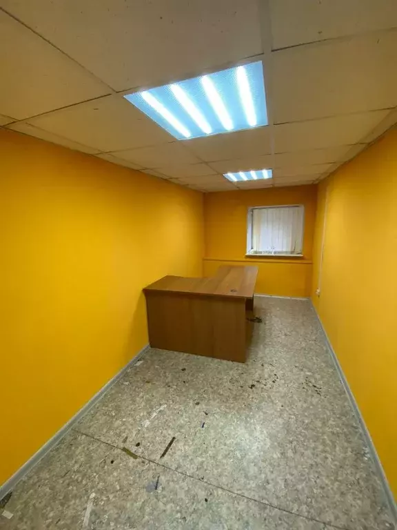 Офис в Санкт-Петербург 19-я Васильевского острова линия, 4 (13 м) - Фото 2