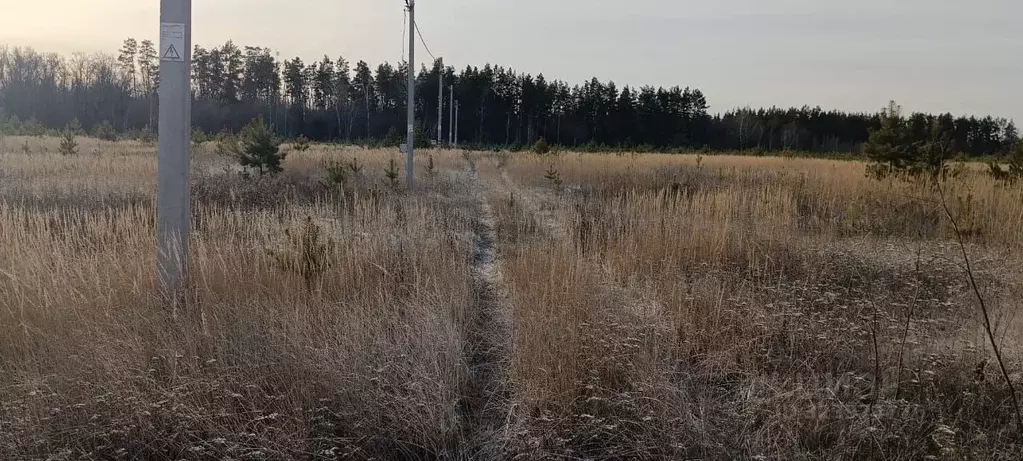 Участок в Самарская область, Ставропольский район, Мусорка с/пос, с. ... - Фото 2