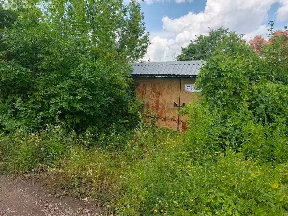 Дом в Воронеж, СНТ Садовод, улица Черненко, 72 (20 м) - Фото 1