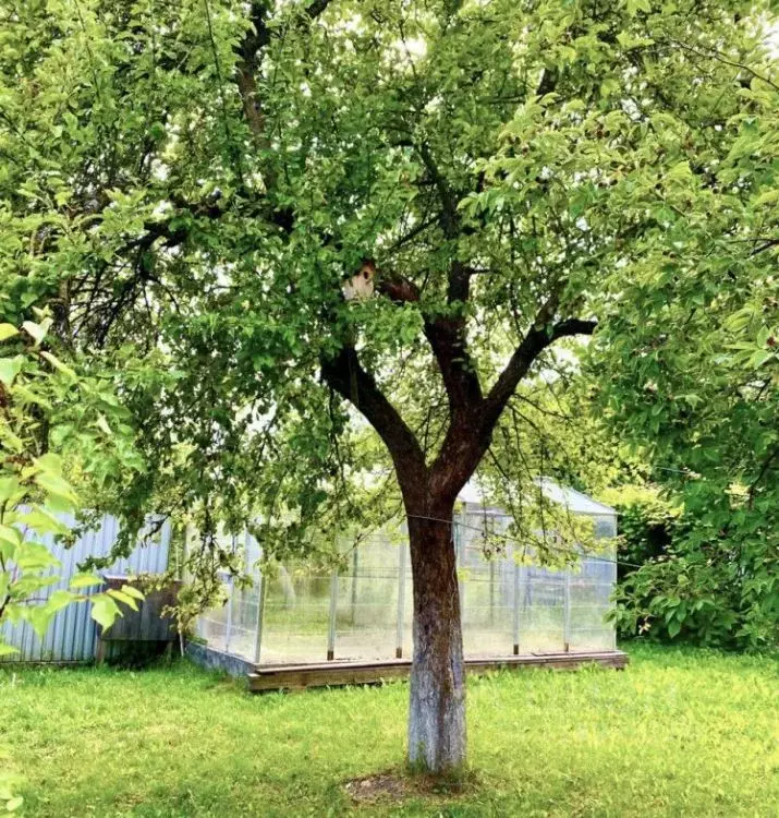 Дом в Калининградская область, Калининград Мечта СНТ, пер. Болотный, ... - Фото 2