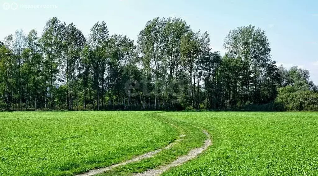 Участок в Новокузнецк, Куйбышевский район (20 м) - Фото 1