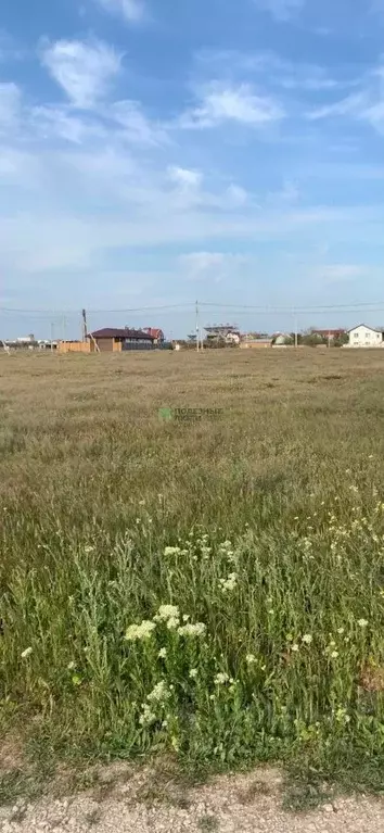 Участок в Крым, Сакский район, Молочненское с/пос, с. Витино ул. ... - Фото 1