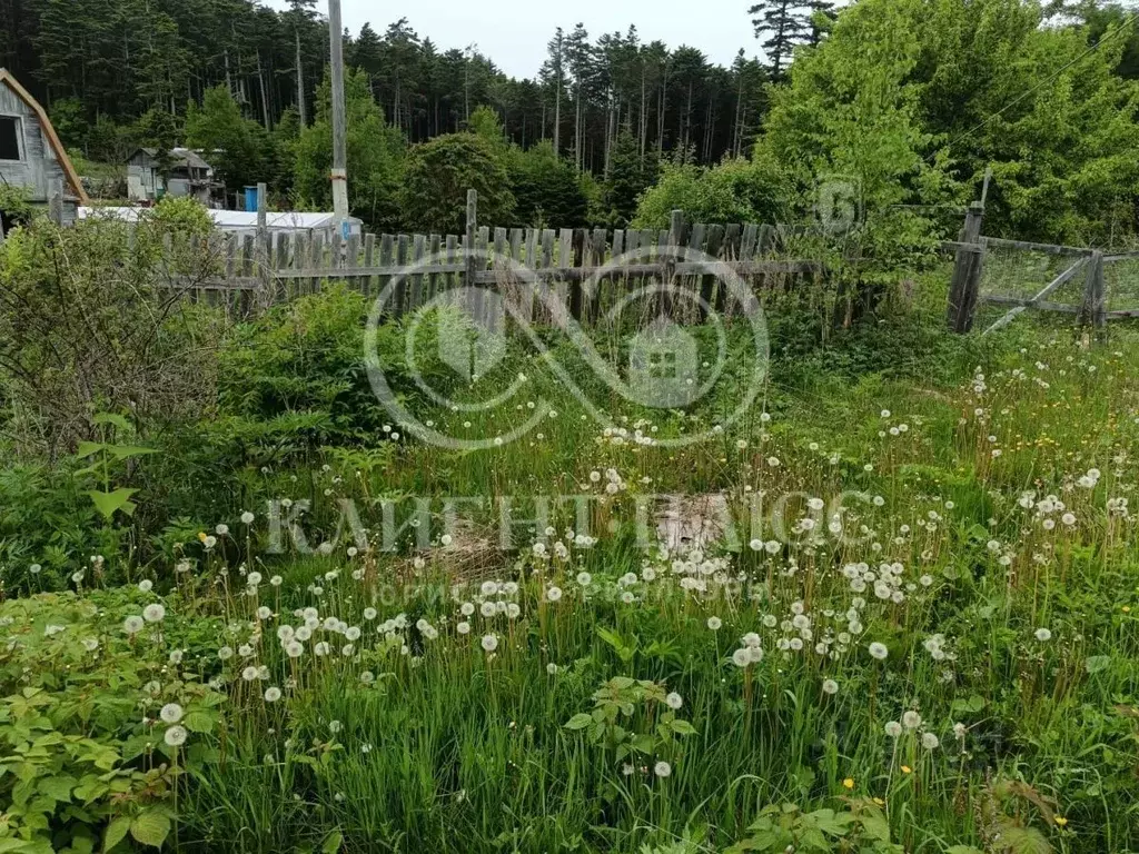 Дом в Сахалинская область, Корсаков  (60 м) - Фото 0