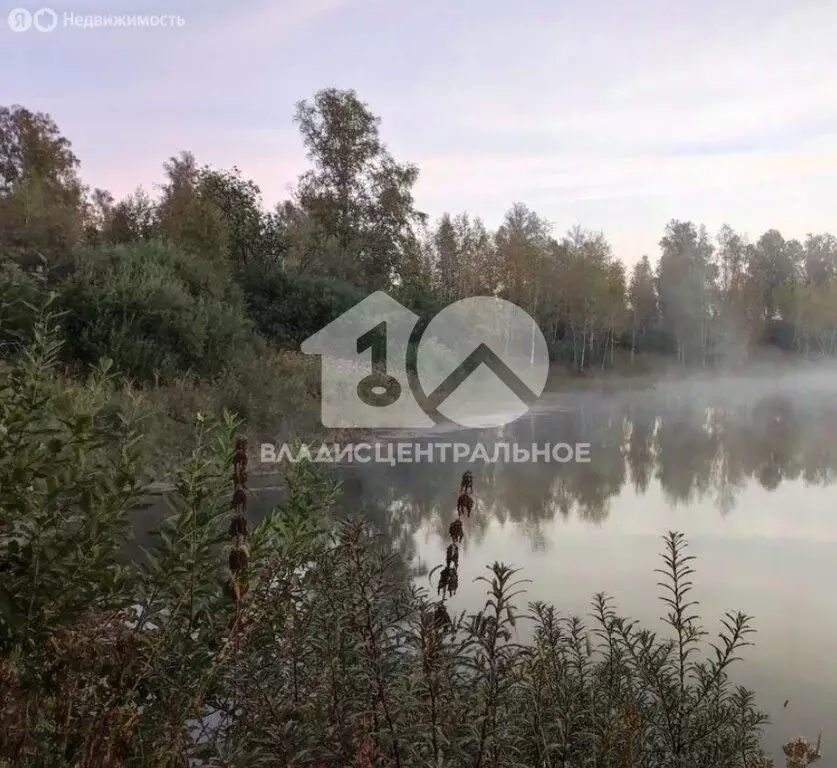 Участок в Барышевский сельсовет, садоводческое некоммерческое ... - Фото 0