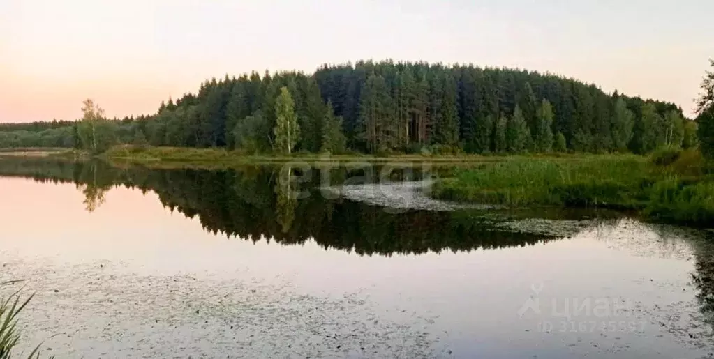 Участок в Ярославская область, Даниловское с/пос, д. Конищево ул. ... - Фото 1