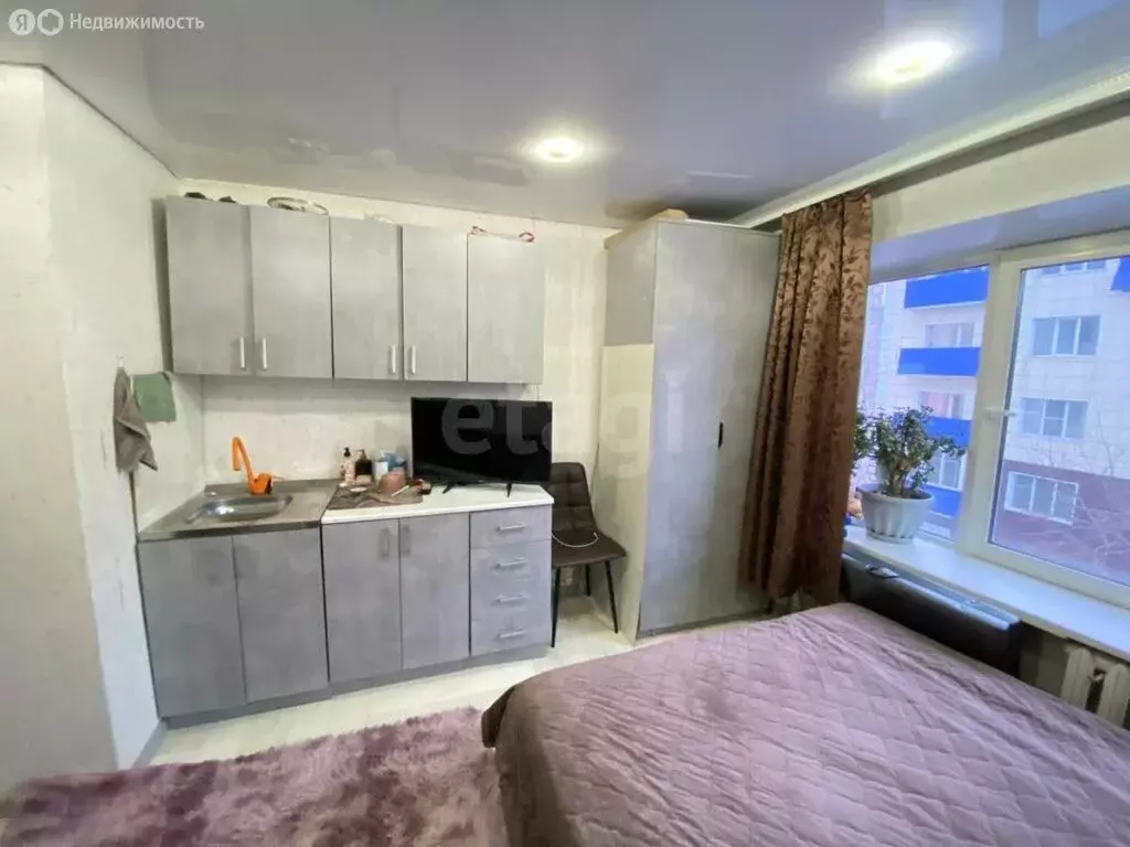 Квартира-студия: Горно-Алтайск, улица Ленина, 14 (18.3 м) - Фото 2