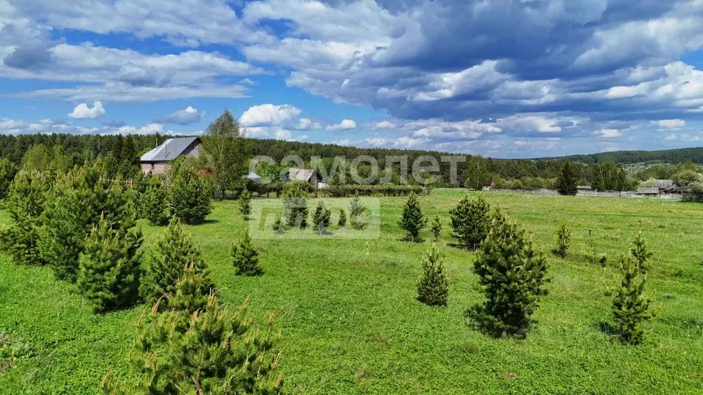 Участок в Челябинская область, Нязепетровск ул. Тургенева (10.0 сот.) - Фото 2