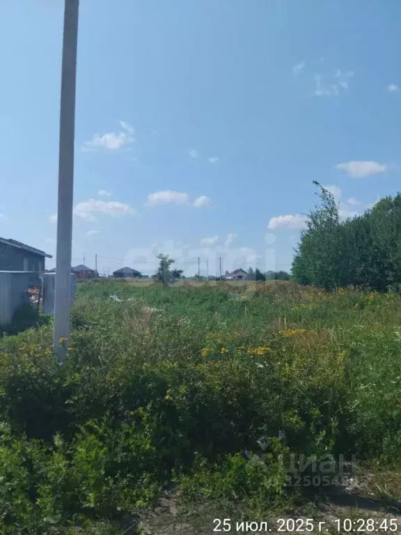 Участок в Мордовия, Кочкуровский район, с. Булгаково  (15.0 сот.) - Фото 2