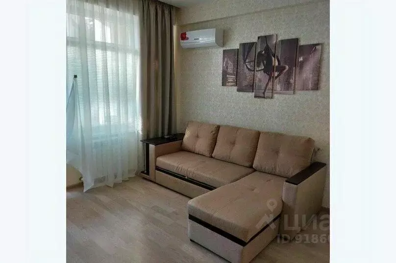2-к кв. Краснодарский край, Сочи ул. Ленина, 172Б (50.0 м) - Фото 1