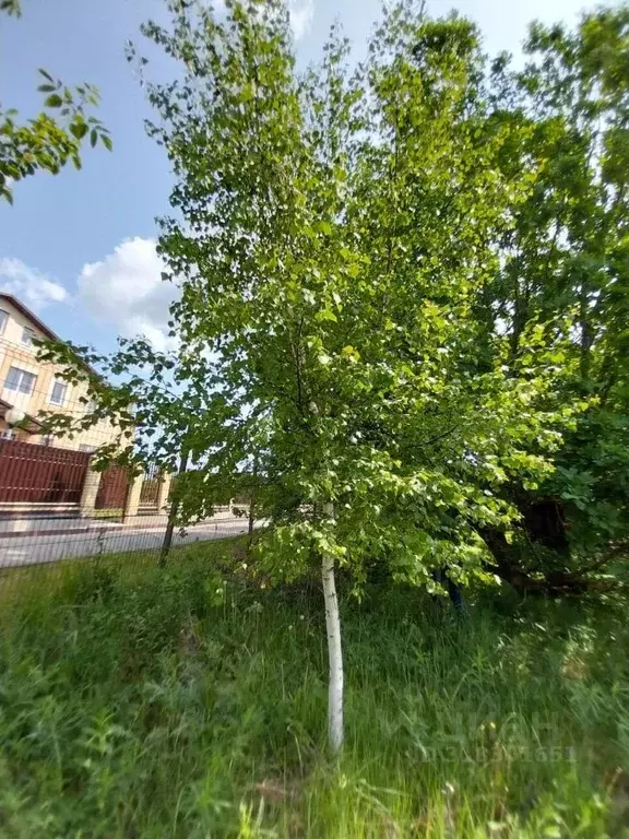 Участок в Владимирская область, Суздальский район, Новоалександровское ... - Фото 1