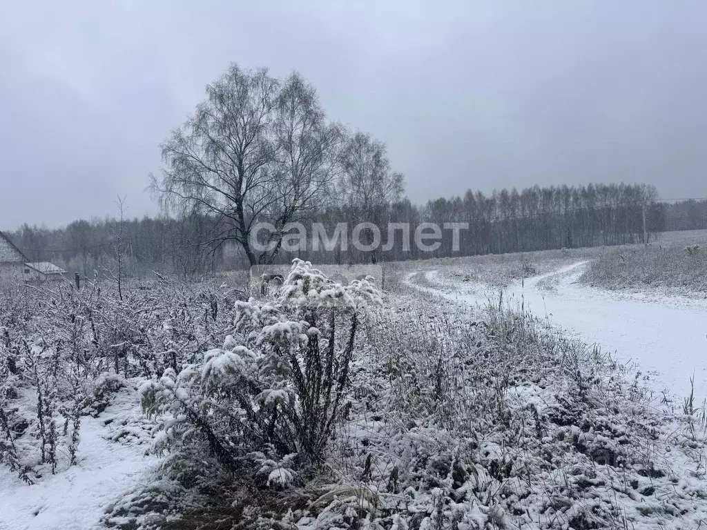 Участок в Нижегородская область, Балахнинский муниципальный округ, д. ... - Фото 0