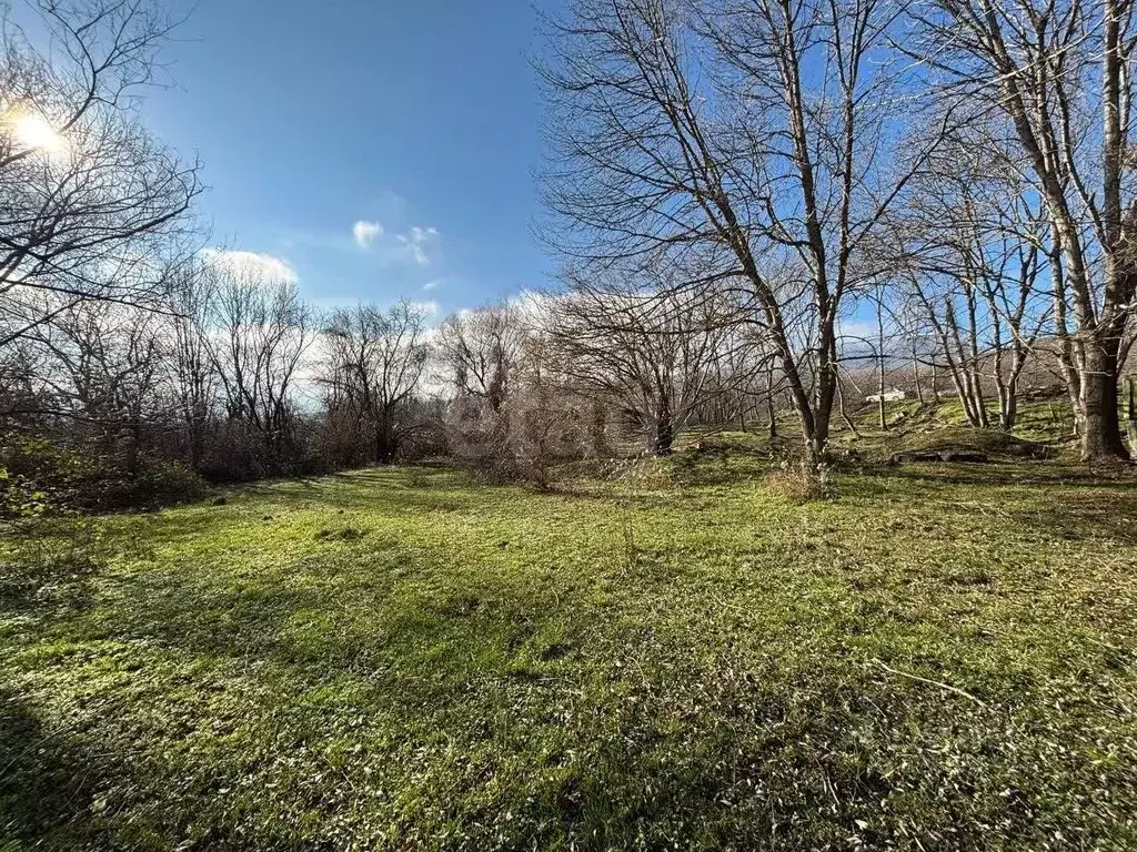 Участок в Крым, Алушта муниципальный округ, с. Лучистое  (7.46 сот.) - Фото 1