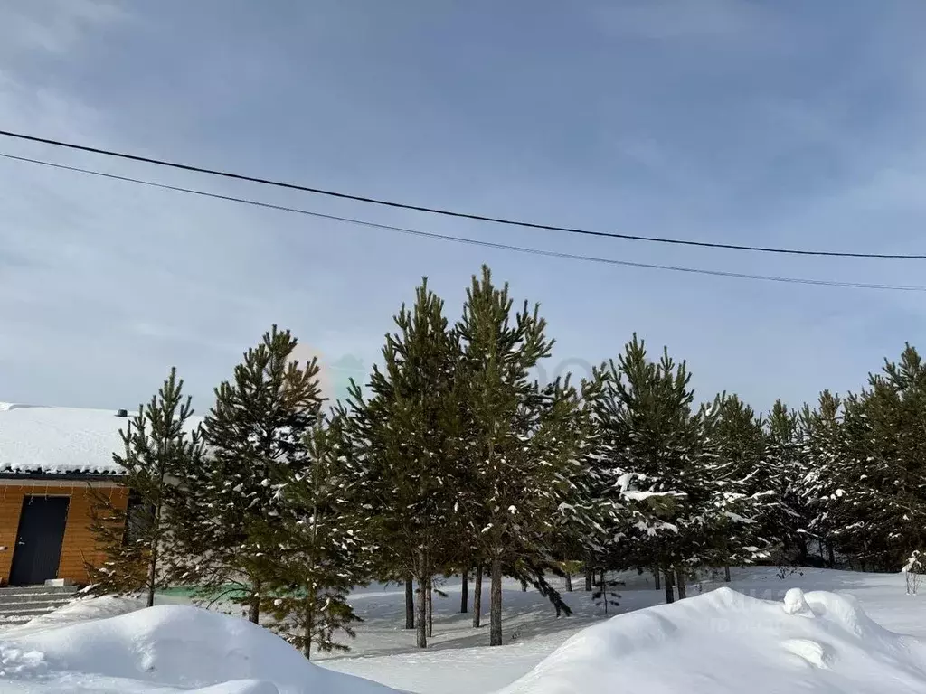 Участок в Свердловская область, Полевской городской округ, с. ... - Фото 0