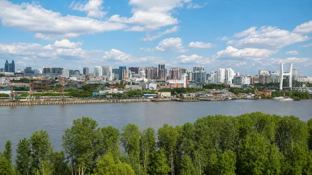 Студия Новосибирская область, Новосибирск ул. Ясный Берег, 35 (24.9 м) - Фото 1