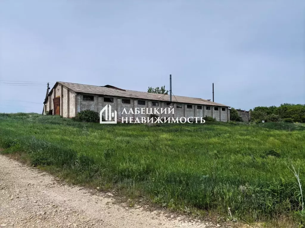 Склад в Воронежская область, Хохольский район, с. Костенки ул. ... - Фото 1