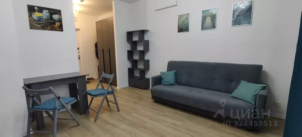 Студия Московская область, Домодедово городской округ, с. Ям ул. ... - Фото 1