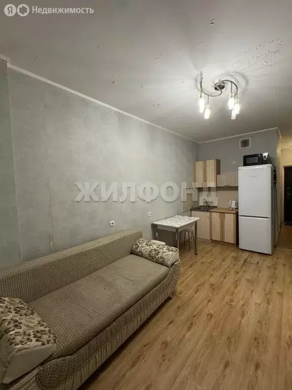 Квартира-студия: Новосибирск, Первомайская улица, 230 (20.6 м) - Фото 2