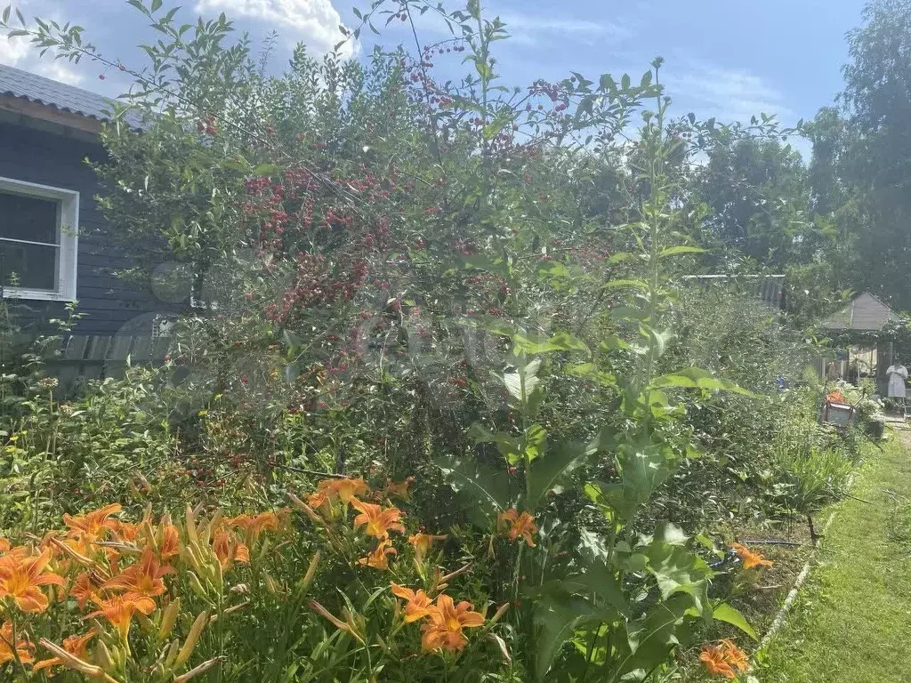 Дача 28,7 м на участке 7 сот. - Фото 0