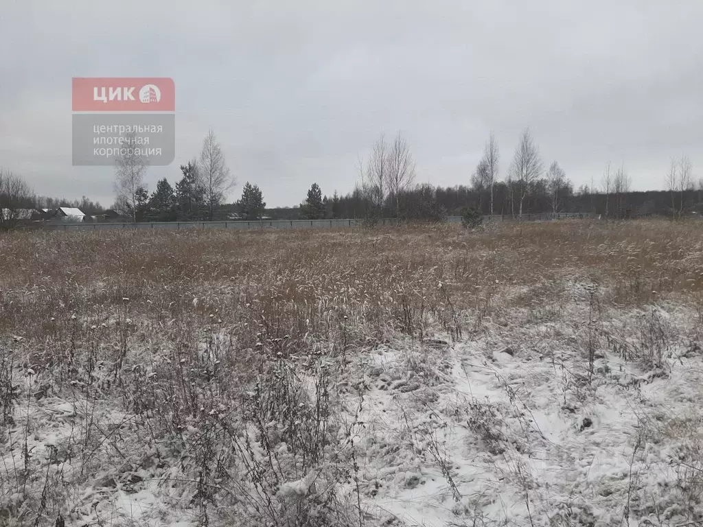 Участок в Рязанская область, Рязанский муниципальный округ, с. ... - Фото 2