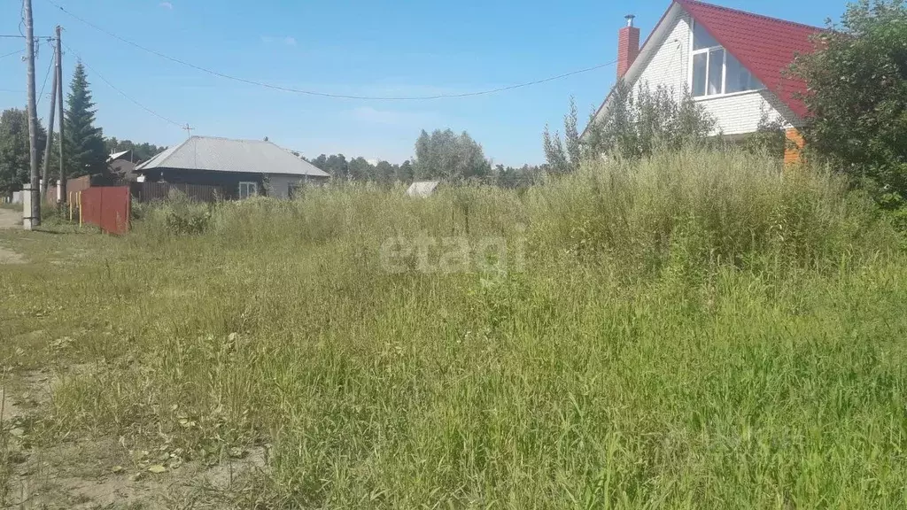 Участок в Алтайский край, Барнаул городской округ, с. Лебяжье ул. ... - Фото 1