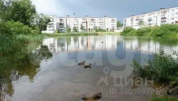 1-к кв. Псковская область, Остров ул. Меркурьева, 16 (32.4 м) - Фото 1